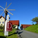 Dietrich 02