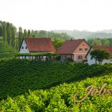 Weingut Joebstl 01