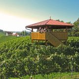 Weingut Joebstl 02