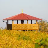 Weingut Joebstl 07