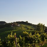 Riegelnegg Karl 02