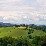 Riegelnegg Karl 03
