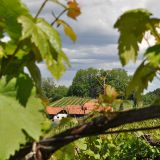 Riegelnegg Karl 04