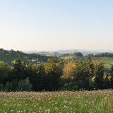 Riegelnegg Karl 07